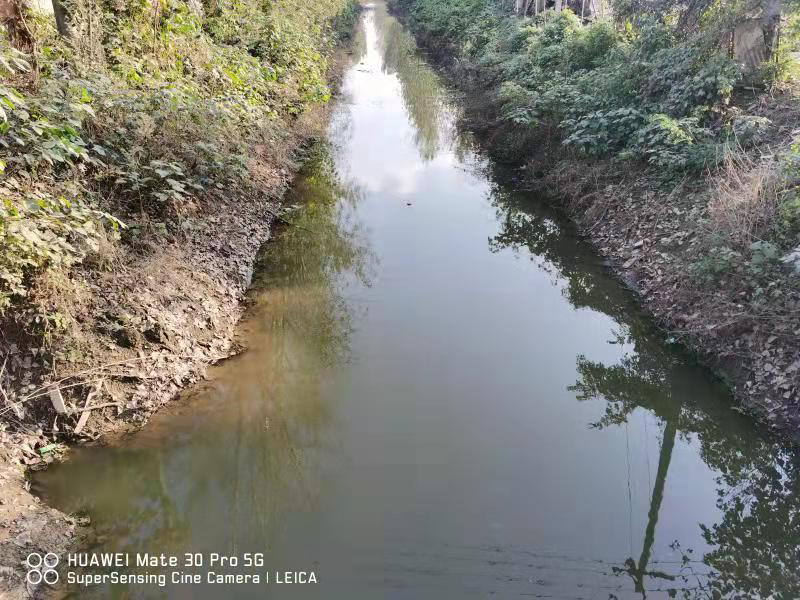 豐縣歡口鎮趙河涯大溝水生態修復工程