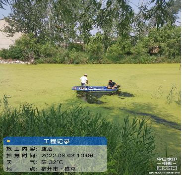 治理前照片.png