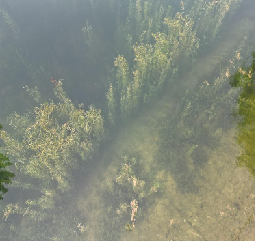治理后照片.png